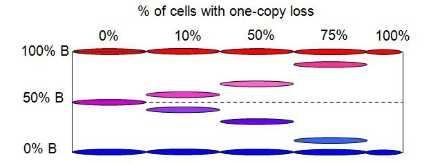 percent of cells with one-copy loss